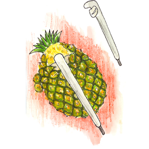 vishanpopat_inno-copy