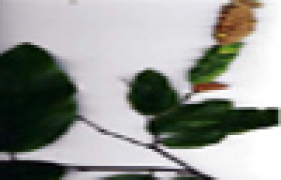 288ab87a0a6858e003a8dc0da37ef679-1055_340x180