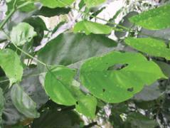 3f1254131dac9f499ab0f89efea22241-1058_340x180