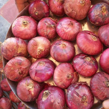 RashidpuraPyaj – Onion Variety