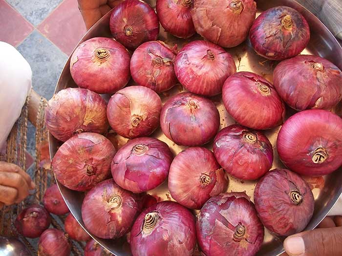 Rasheedpura Onion