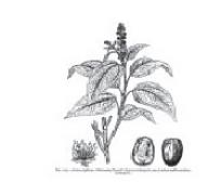 91931b7a4d28612ff6aa5c4dc69fb465-1085_340x180