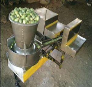 arecanut-peeler-copy