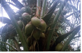 08f4beb39779ade3e172072cbf068e17-585_340x180