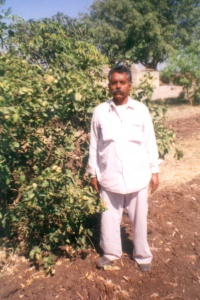 raja_innovation