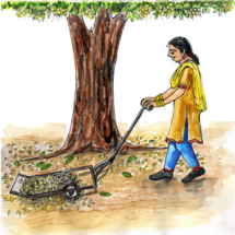 A device to collect Mahua flowers from ground